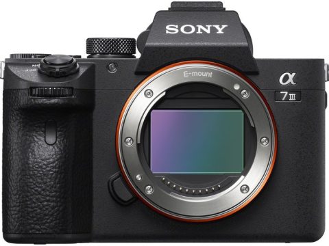 SONY Alpha 7 III Cuerpo
