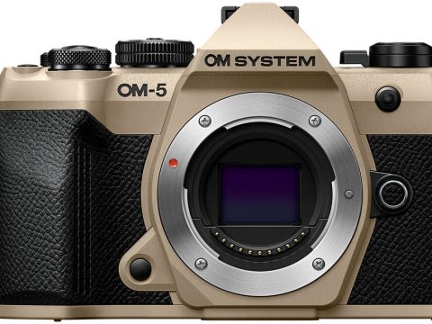 OM SYSTEM OM-5 II Cuerpo solo Beige