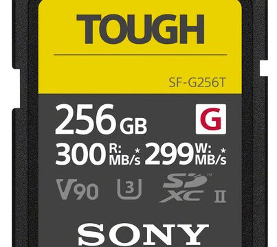 SONY Tarjeta SDXC UHS-II Serie SF-G 256GB 300MB/s
