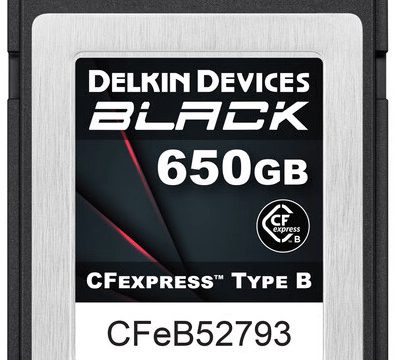 DELKIN DEVICES Tarjeta Cfexpress 650GB Black Tipo B