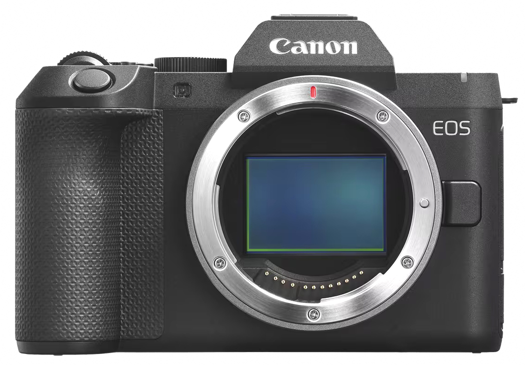 CANON Eos R8 II + RF 24-105 f/4-7.1 IS STM - Imagen 2
