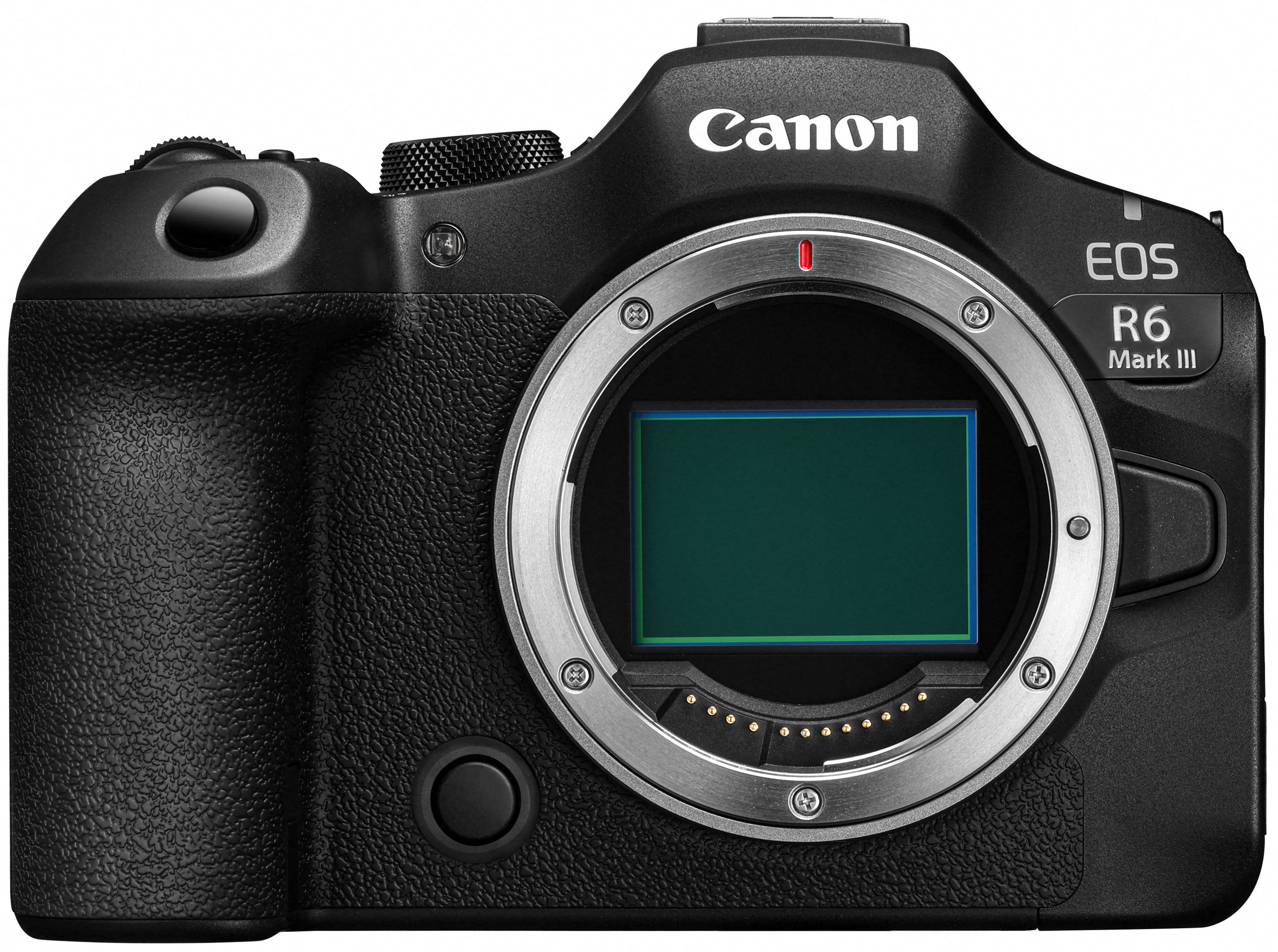 CANON EOS R6 III + RF 24-105mm f/4-7.1 IS USM - Imagen 2