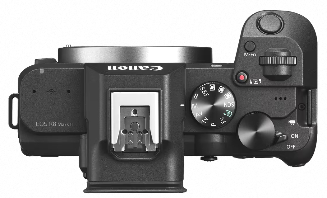CANON Eos R8 II + RF 24-105 f/4-7.1 IS STM - Imagen 3