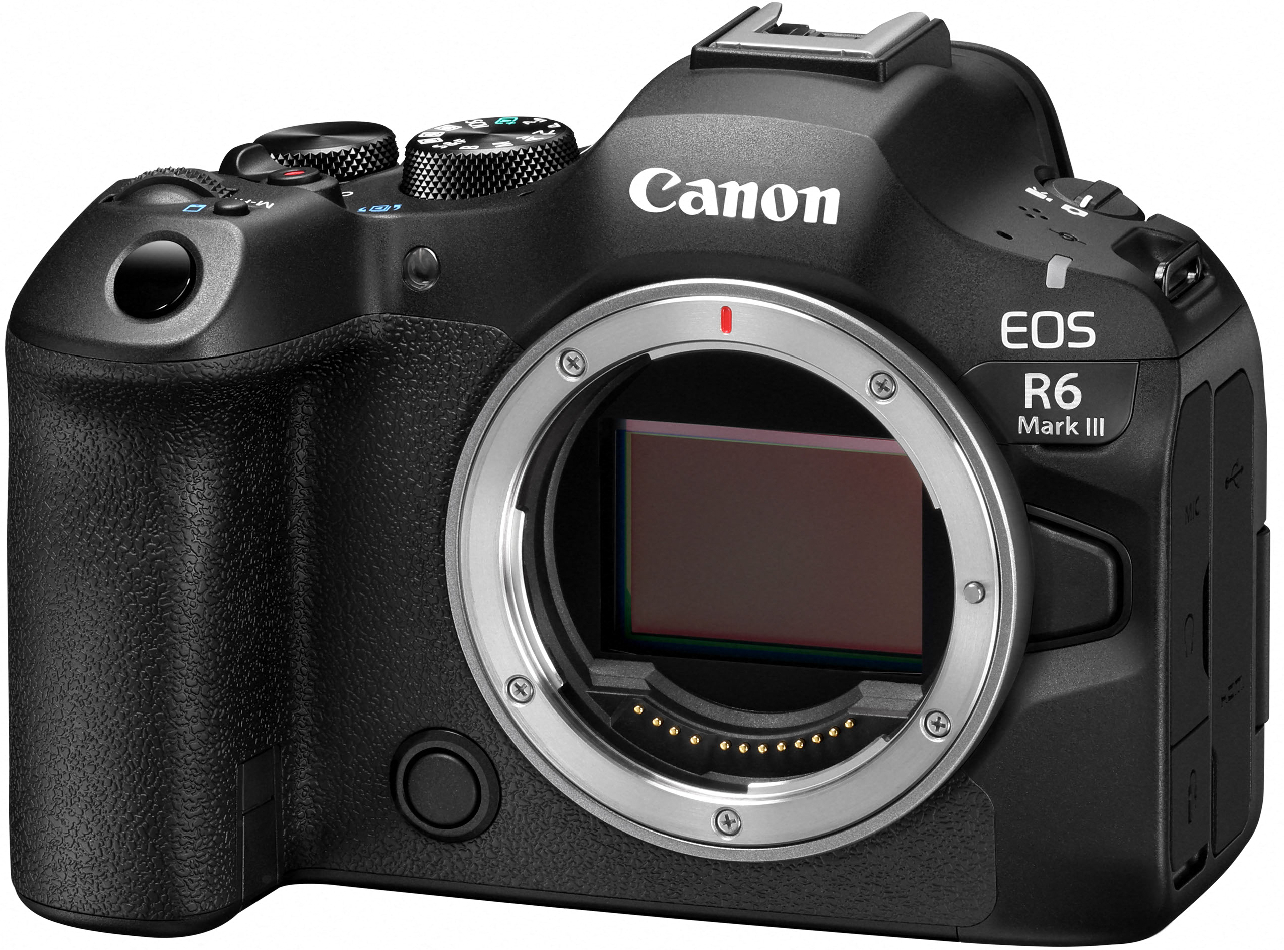CANON EOS R6 III + RF 24-105mm f/4-7.1 IS USM - Imagen 3