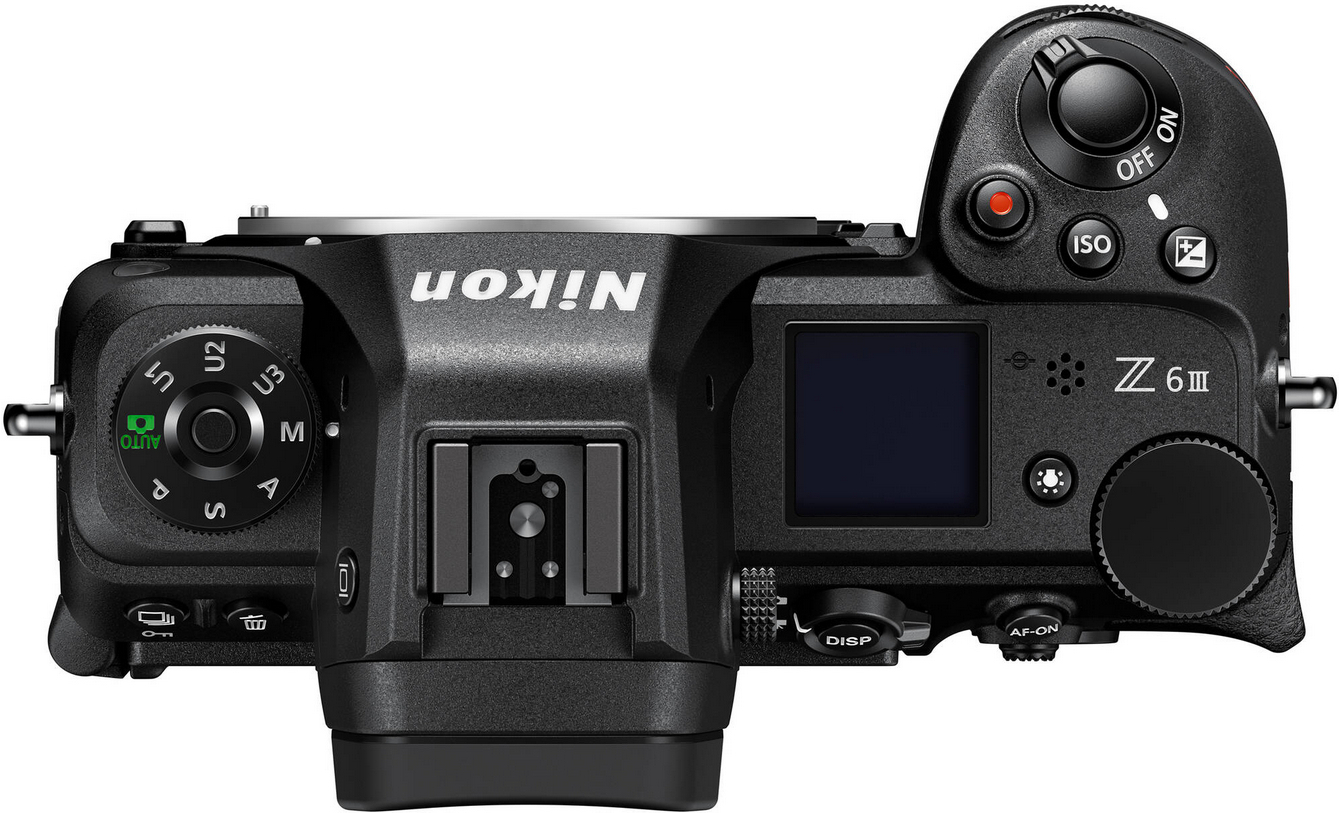 NIKON Z6 III + 24-105mm f/4-7.1 - Imagen 4