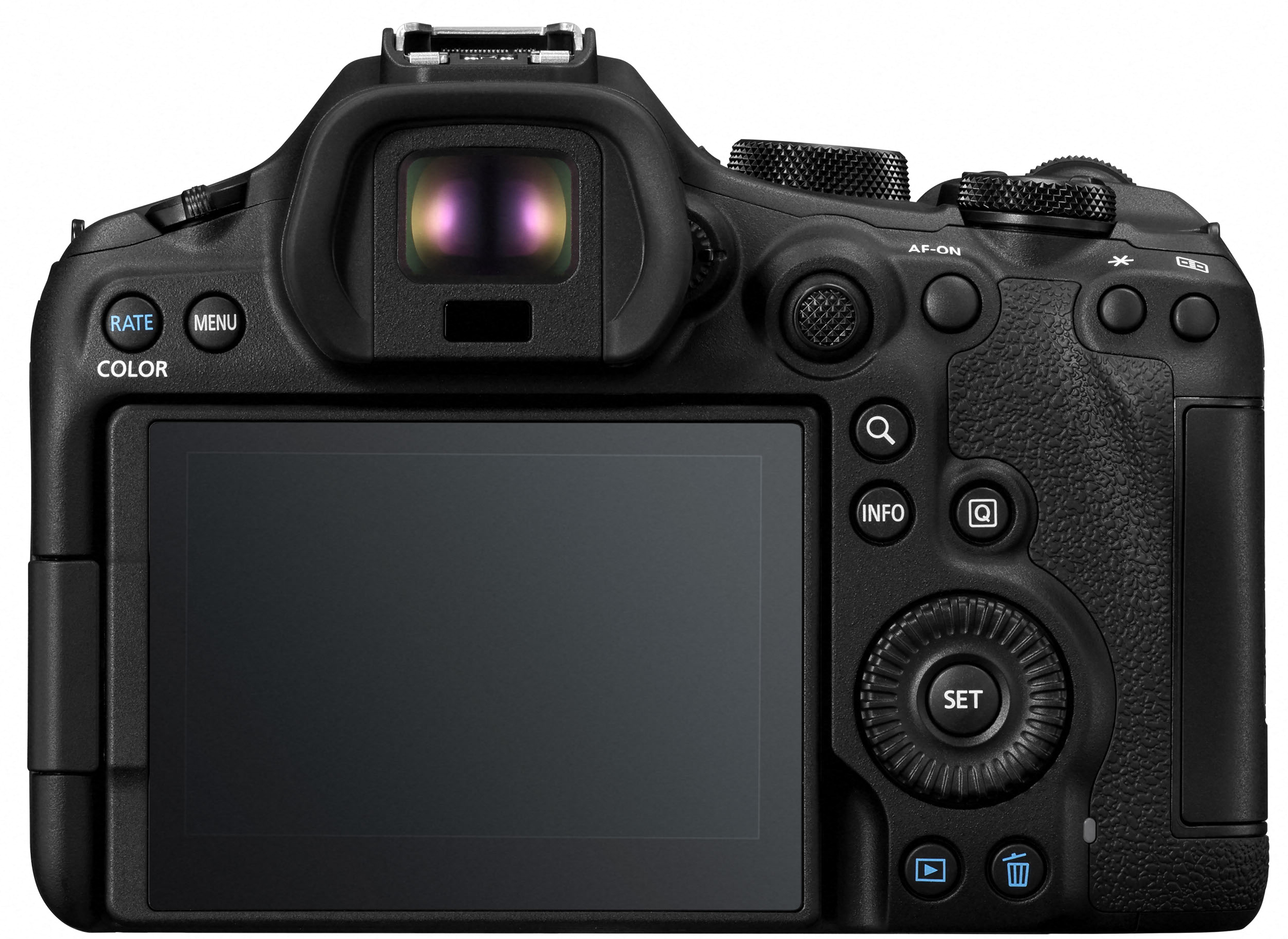 CANON EOS R6 III + RF 24-105mm f/4-7.1 IS USM - Imagen 5