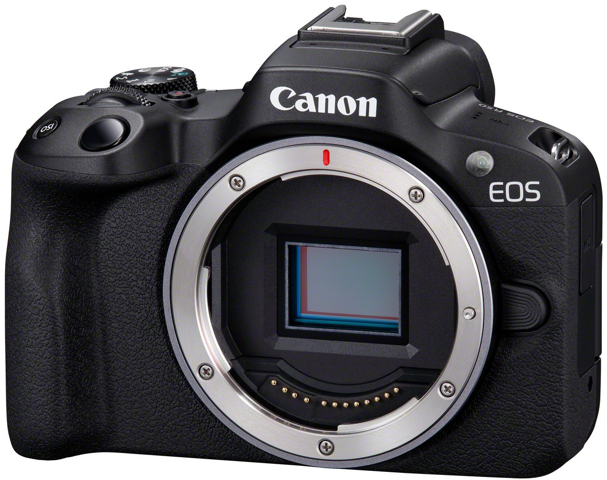 CANON R50 +18-45 f/4.5-6.3 + 75-300 f/4-5.6 - Imagen 5