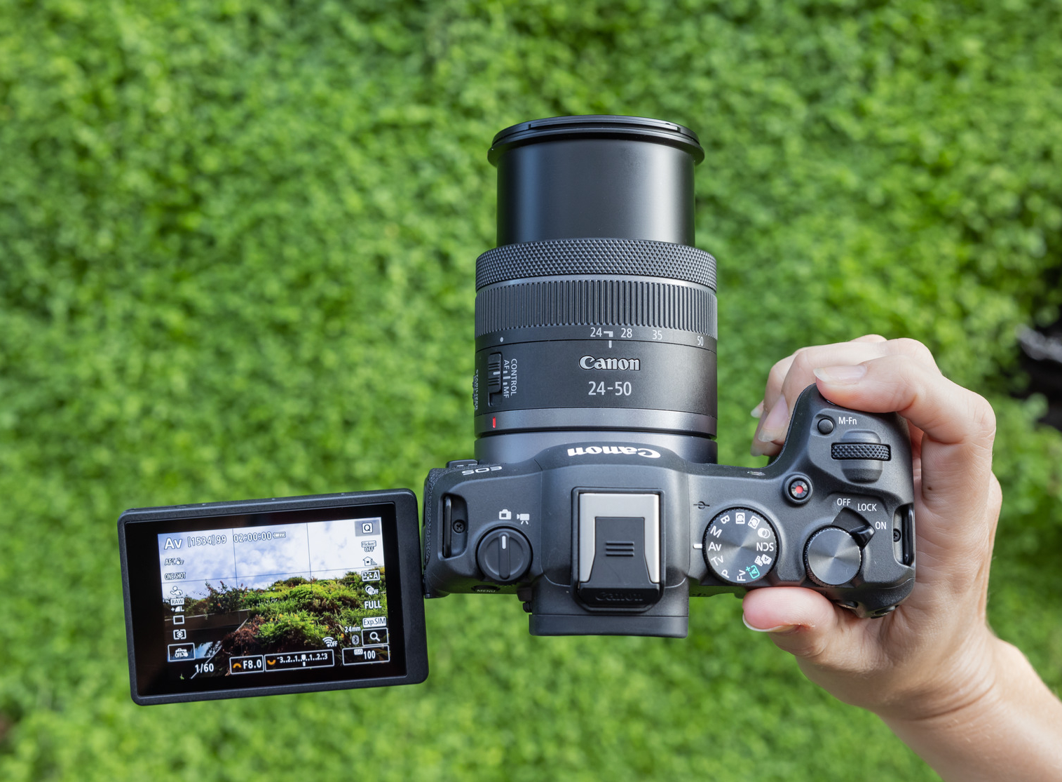 CANON Eos R8 + RF 24-50 f/4.5-6.3 IS STM - Imagen 5