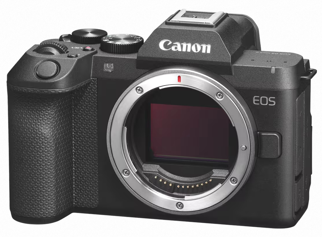 CANON Eos R8 II + RF 24-105 f/4-7.1 IS STM - Imagen 6