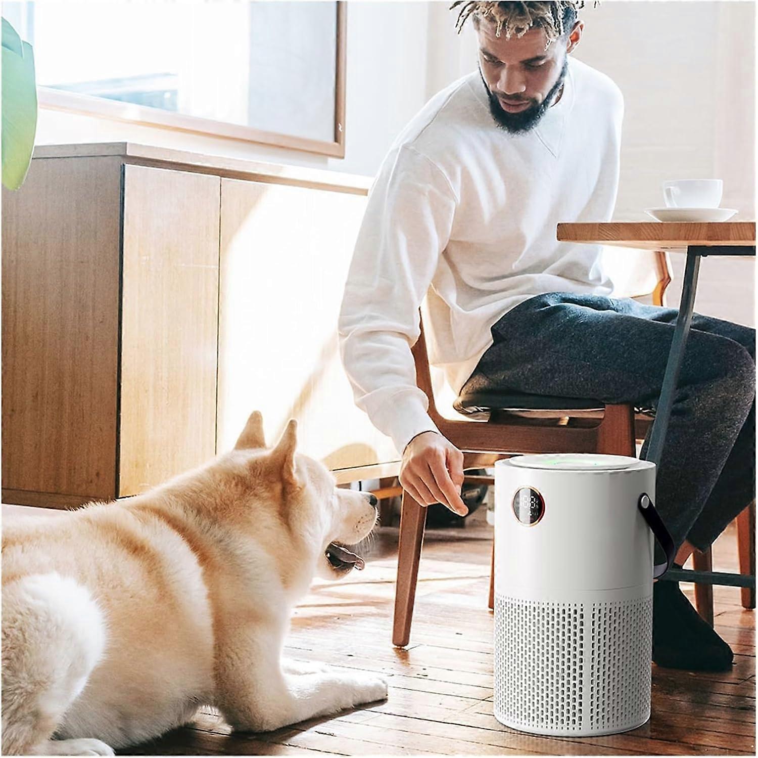 Purificador de aire portátil recargable por USB con filtro HEPA H13, 10000mAh, silencioso para oficina en casa y escritorio, blanco - Imagen 3