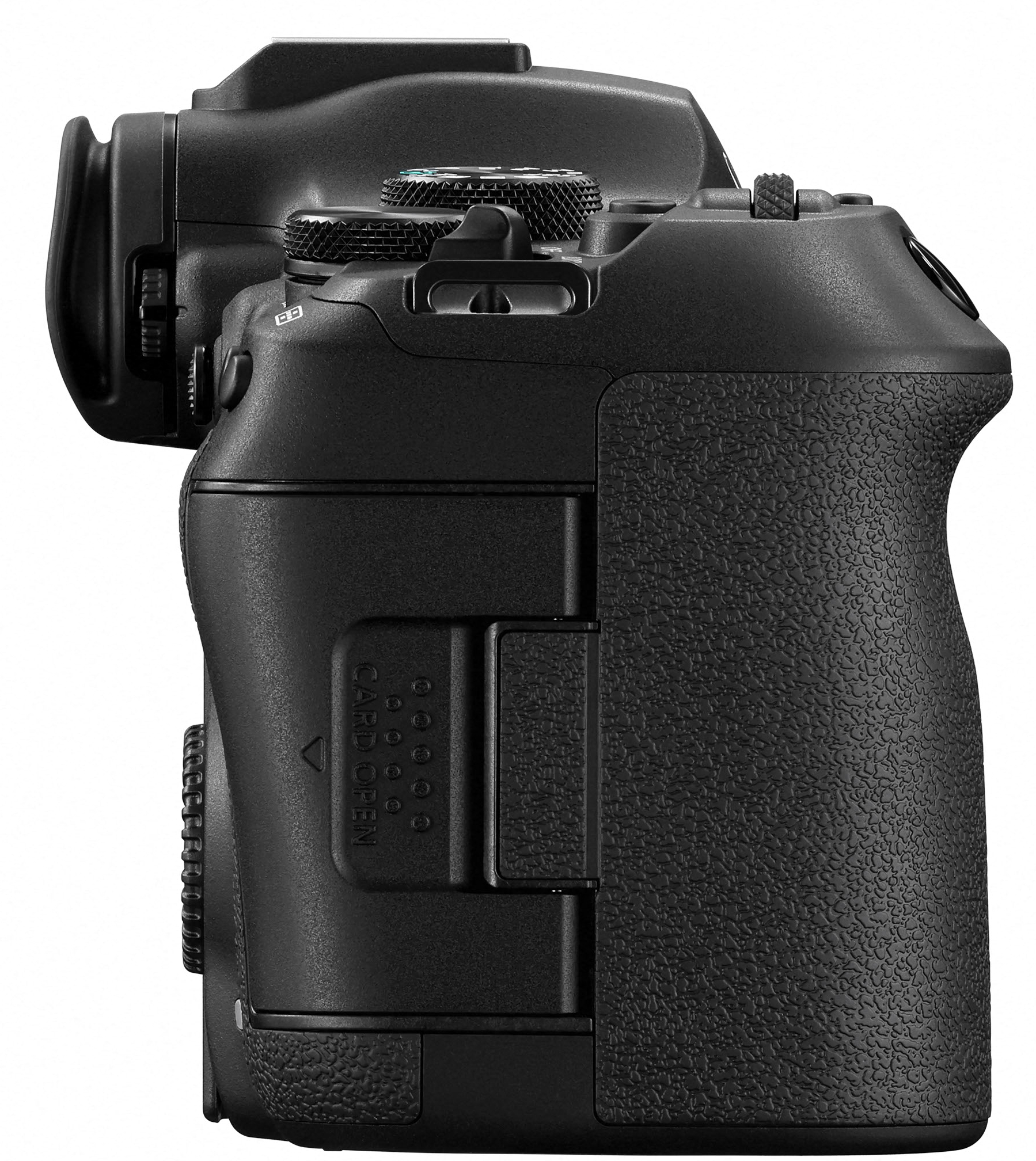 CANON EOS R6 III + RF 24-105mm f/4-7.1 IS USM - Imagen 7