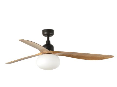 Ventilador de techo DC de exterior Outwood BR-EI con luz