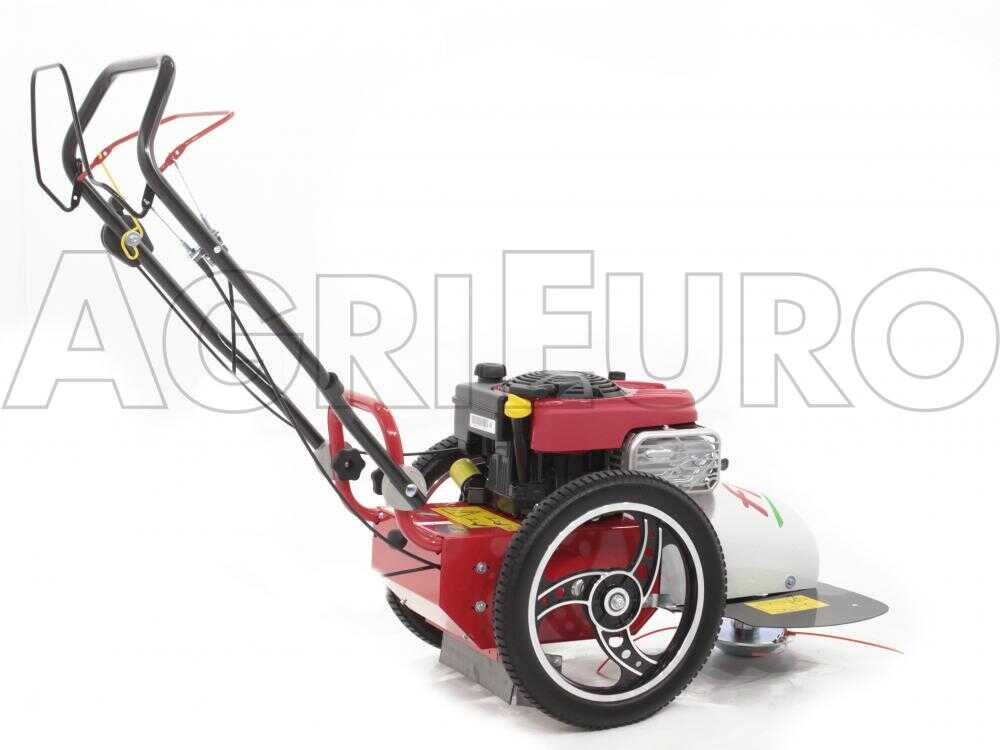 Blue Bird FLO Pro Speed 6BS – Desbrozadora de ruedas de gasolina – Cuchilla e hilo – B&S 850E - Imagen 3