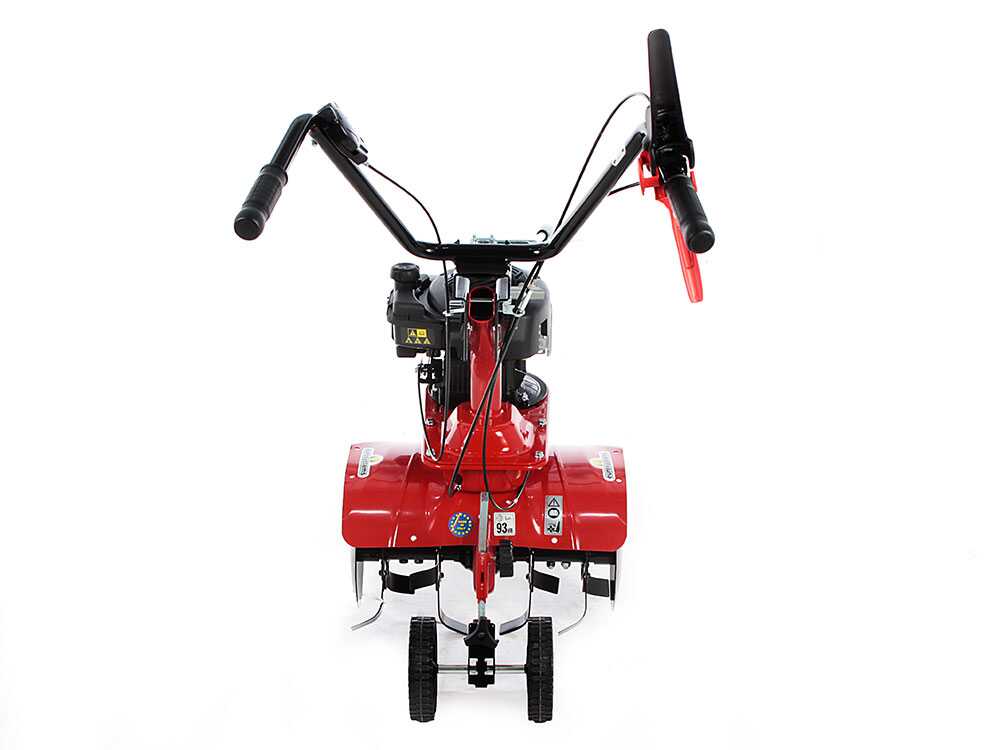 Eurosystems E3-EVO RM – Motoazada de gasolina 3,5 CV – Motor B&S 450 E - Imagen 3