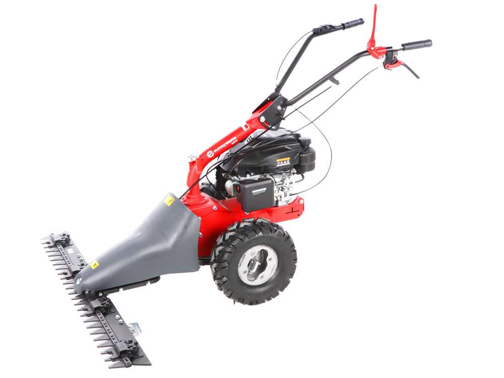 Eurosystems M310 – Motosegadora de doble cuchilla – Anchura de corte 127 cm – Rato RV200 OHV - Imagen 4