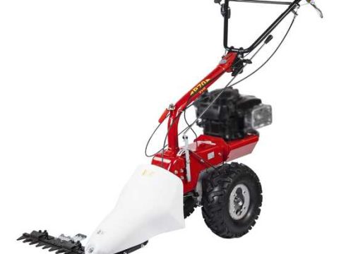 Eurosystems P70 EVO – Motosegadora multifunción de doble cuchilla – B&S 850iS