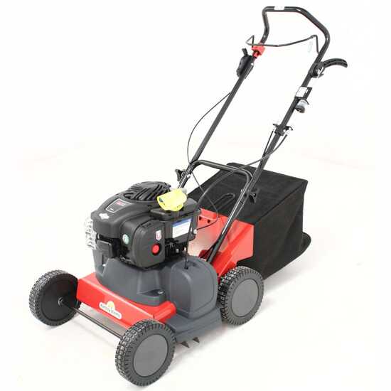 Eurosystems SC 42 B – Aireador de cuchillas fijas – Motor B&S 450