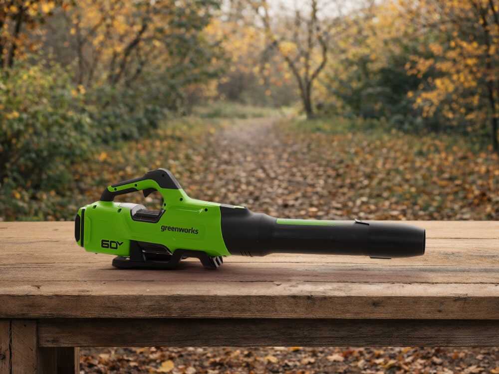Greenworks BL2206H – Soplador axial a batería – 60 V/4 Ah - Imagen 2