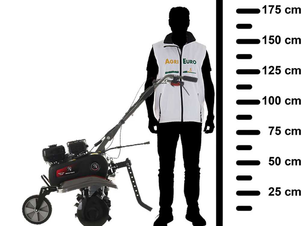 Italian Power RG3.6-75 – Motoazada de gasolina 7 CV – Rato R210 - Imagen 3