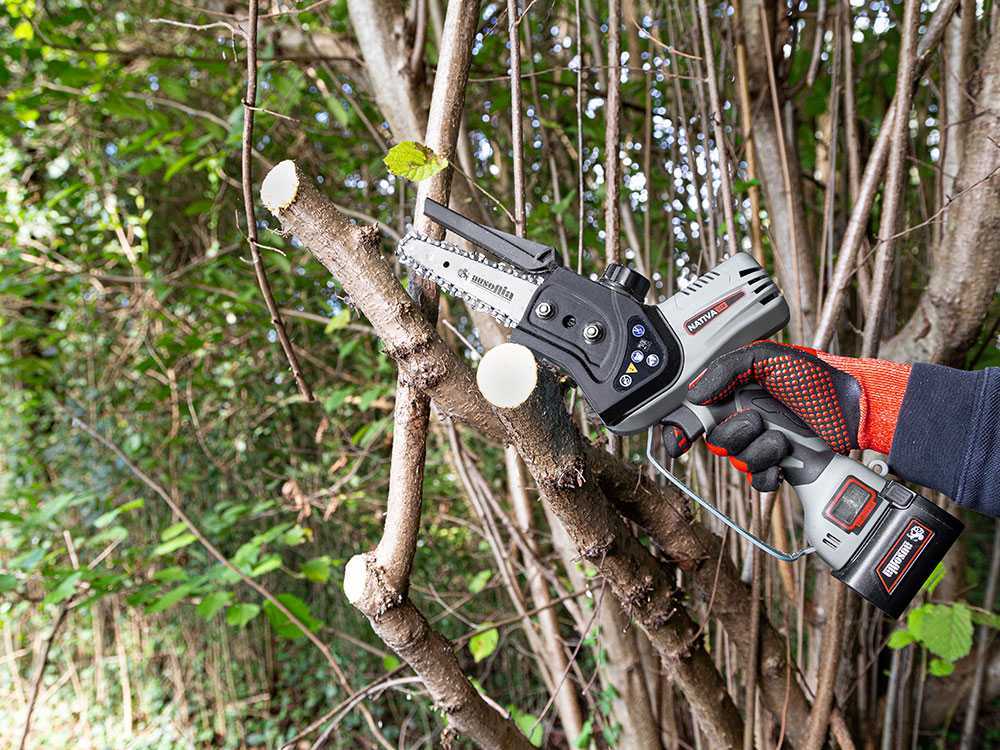Podadora manual eléctrica a batería Ausonia Nativa Saw – 3 Baterías de 24V 2.5Ah – Capacidad de corte 100mm - Imagen 2
