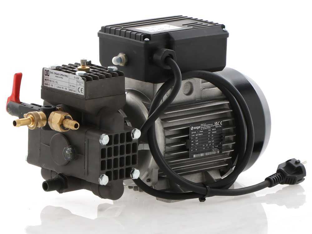 Motobomba eléctrica de pulverización Dal Degan DL 218 – 20 bares máx. – 18 L/min - Imagen 4