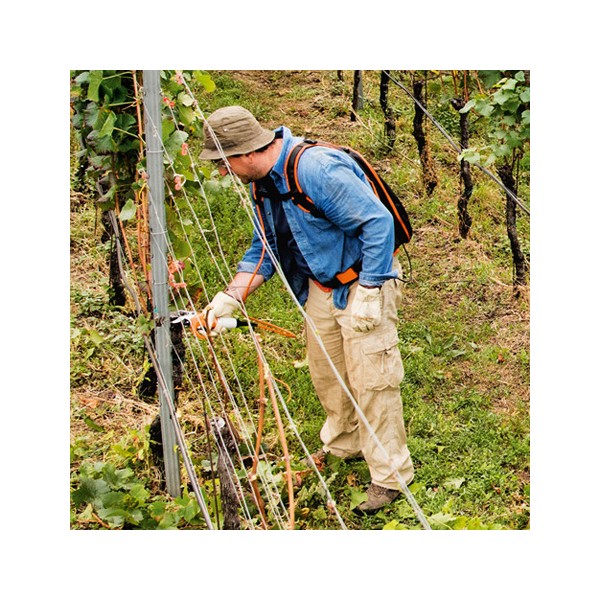 PACK tijera de podar a batería ASA65 + batería AP 300 + cargador AL 300 STIHL - Imagen 3