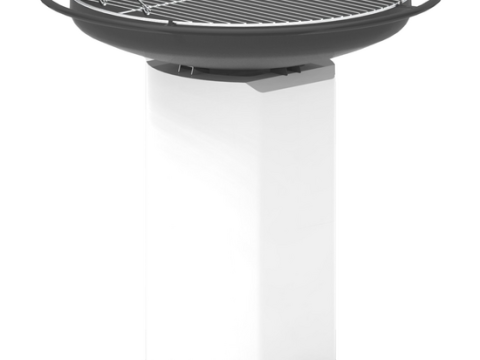 Palazzetti Apollo 60 – Barbacoa de leña y carbón de obra