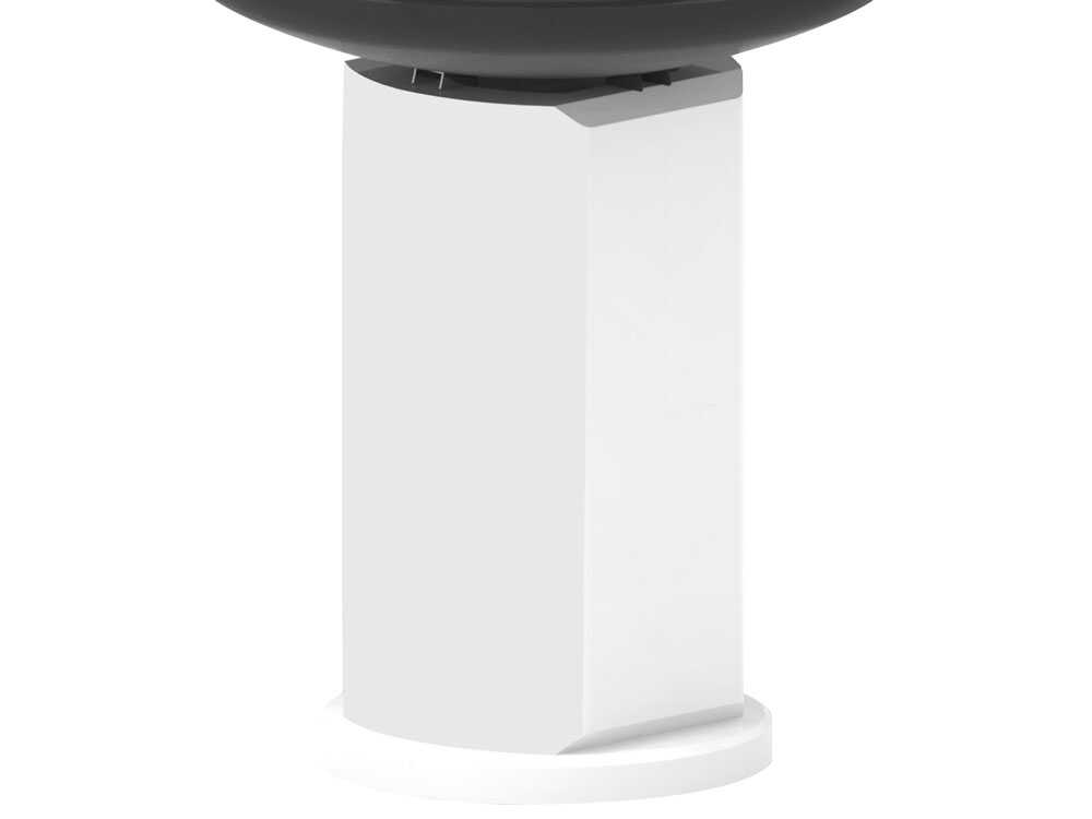 Palazzetti Apollo 60 – Barbacoa de leña y carbón de obra - Imagen 5