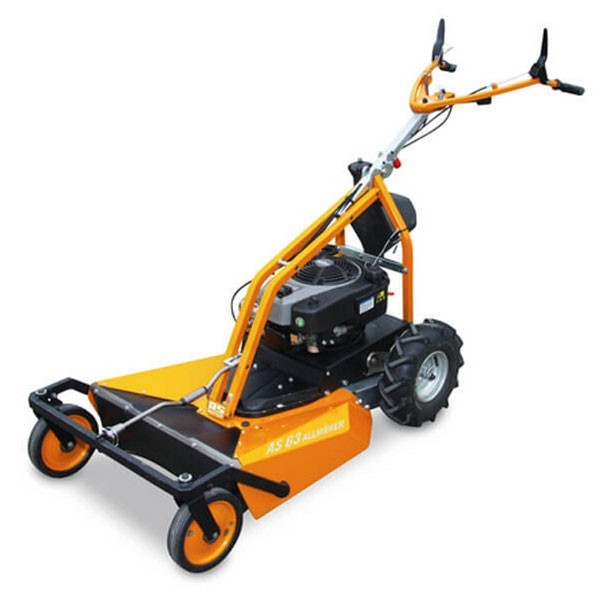 Cortacésped desbrozador AS 63-4T B&S AS MOTOR